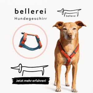 bellerei Logo