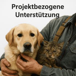 Projektbezogen