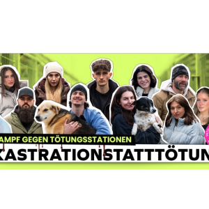 VETO - Kastration statt Tötung